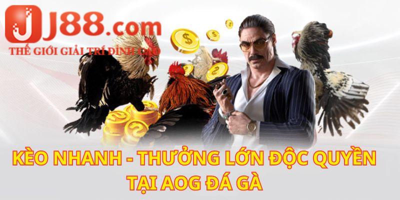 Làm giàu không khó - đã có AOG lo mỗi ngày